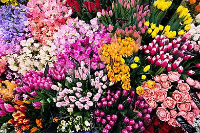 FPS瞄准训练工具《Aimlabs》Steam正式推出